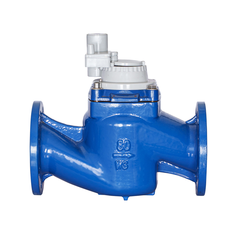 Compteur d'eau intégré Non magnétique détachable, aile à vis verticale de haute précision WS-DN40-DN200