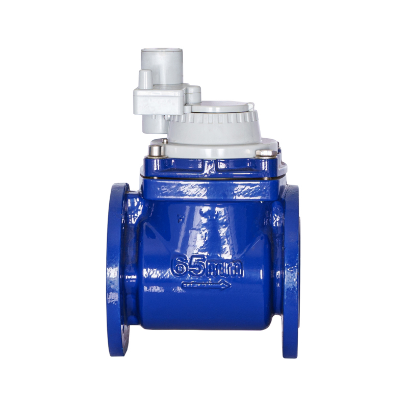 Compteur d'eau intégré non magnétique à aile à vis détachable horizontale WPH DN50-DN200